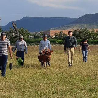 Plantan mil 500 árboles en Atotonilco el Alto