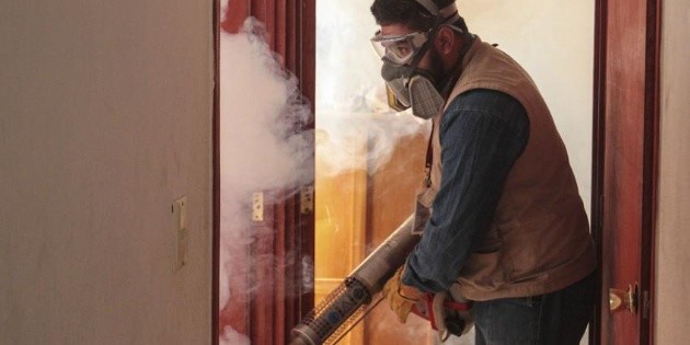 Dengue hemorr&aacute;gico y muertes azotan la colonia Lomas del Para&iacute;so I