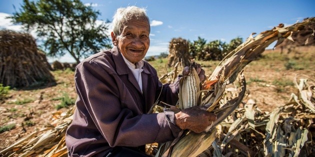 Urge aprobar ley de ma&iacute;z antes del T-MEC: Secretar&iacute;a de Agricultura