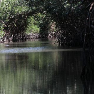 Lanzan proceso de consulta para proteger El Salado
