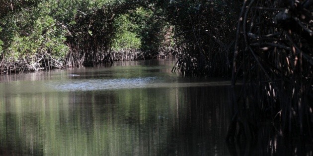 Lanzan proceso de consulta para proteger El Salado
