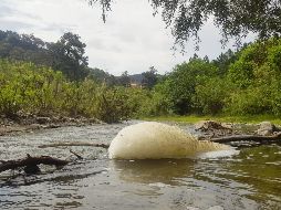 En el río se observó espuma y un líquido aceitoso en la tierra. EL INFORMADOR / F. Atilano