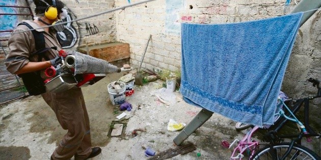 Mantienen brigadas de fumigaci&oacute;n