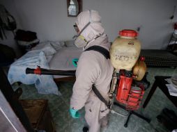 Jalisco se mantiene con sólo dos muertes confirmadas, aunque hay 31 aún en estudio. EL INFORMADOR / ARCHIVO