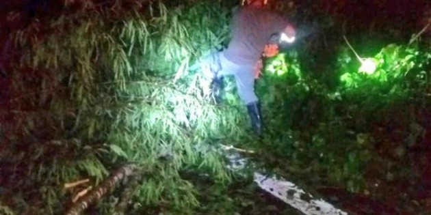 Atienden da&ntilde;os en carretera 200 a Puerto Vallarta por "Narda"