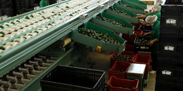 Suben exportaciones de Jalisco en segundo trimestre