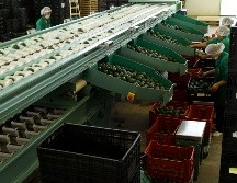 Los principales subsectores exportadores de fueron los de fabricación de equipo de computación, equipo de transporte, industria del plástico, de las bebidas y el tabaco. EL INFORMADOR / ARCHIVO