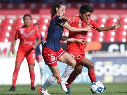 Las rojiblancas están en zona de Liguilla, las jarochas son tan inoperantes como su contraparte masculina. TWITTER / @ChivasFemenil