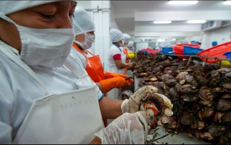 La exportación de marisco y pescado supone una buena fuente de ingresos para Perú. GETTY IMAGES