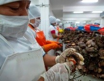 La exportación de marisco y pescado supone una buena fuente de ingresos para Perú. GETTY IMAGES