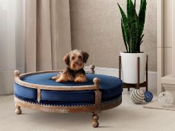 Pottery Barn, Crate and Barrel, Ikea, los colchones Casper y otras empresas de muebles lanzaron líneas de productos para mascotas. AP/Pottery Barn