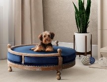 Pottery Barn, Crate and Barrel, Ikea, los colchones Casper y otras empresas de muebles lanzaron líneas de productos para mascotas. AP/Pottery Barn