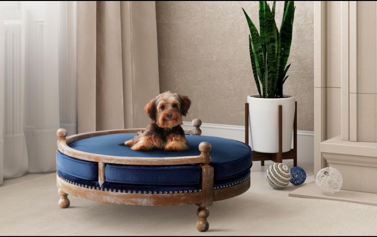 Pottery Barn, Crate and Barrel, Ikea, los colchones Casper y otras empresas de muebles lanzaron líneas de productos para mascotas. AP/Pottery Barn