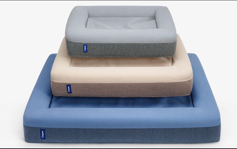 Pottery Barn, Crate and Barrel, Ikea, los colchones Casper y otras empresas de muebles lanzaron líneas de productos para mascotas. AP/