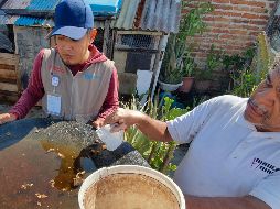 Brigadistas de la Secretaría de Salud visitaron ayer los hogares de la colonia Jalisco, en Tonalá, para combatir los criaderos de mosquitos. EL INFORMADOR/P. López