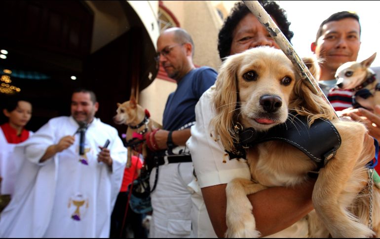 Cargando sus perros, pericos y hasta tortugas en cubetas de agua, los feligreses se congregaron en la parroquia San Francisco de Asís. AFP/U. Ruiz