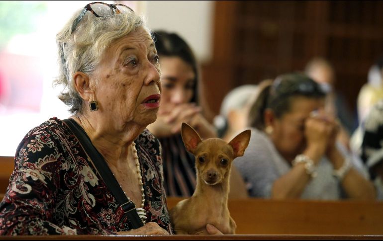 Cargando sus perros, pericos y hasta tortugas en cubetas de agua, los feligreses se congregaron en la parroquia San Francisco de Asís. AFP/U. Ruiz