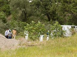 Se encontraron 138 bolsas el mes pasado en La Primavera. EFE