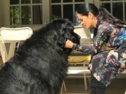 Debayle contó que Gastón fue testigo de los momentos familiares más importantes en su vida. INSTAGRAM / marthadebayle