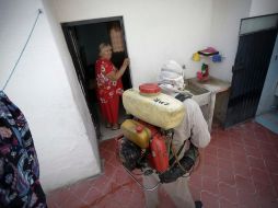 En la Entidad prevalece la presencia del serotipo 2, lo que ha ocasionado que los cuadros de la enfermedad se presenten con mayor agresividad. EL INFORMADOR/ ARCHIVO