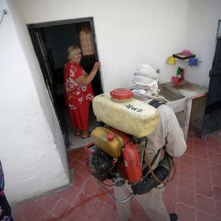 Salud analiza 48 muertes probables por dengue en Jalisco