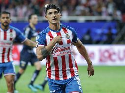 Alan Pulido ha sido el mejor goleador mexicano en 13 fechas del Apertura 2019 con siete goles. Imago7 / ARCHIVO
