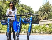 Las empresas MOVO, Lime y Frog, invertirán más de 15 millones de pesos y generarán más de 500 fuentes de empleo en la ciudad. TWITTER/ @Movo_Mex