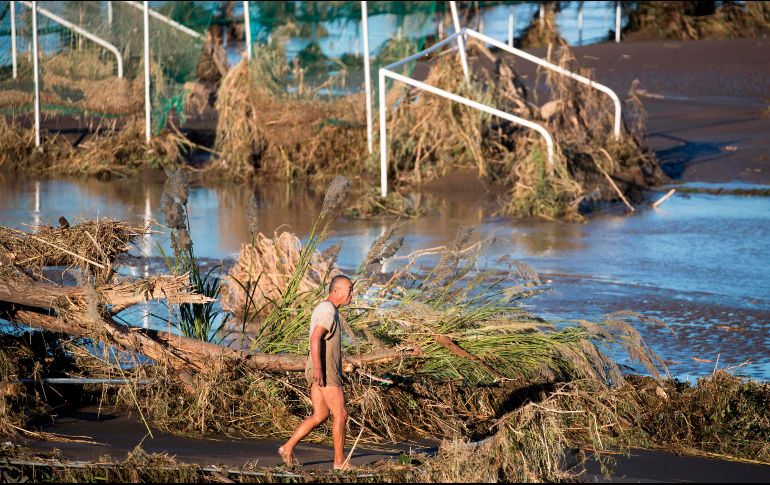Un hombre recorre la zona afectada por la crecida del río Tamagawa, en donde se aprecian varios árboles caídos. AFP/O. Andersen