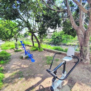 Por temor al dengue, dejan sin uso gimnasio al aire libre 