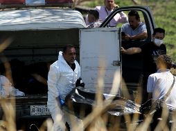 Jalisco concentra el 7.2% de los homicidios en el país en el periodo de diciembre de 2018 a agosto de 2019. AFP/ARCHIVO