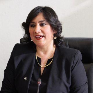 "Van 21 denuncias en contra de Bartlett", afirma SFP