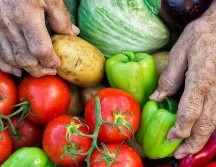 Los campesinos producen 80% de la comida en el mundo en desarrollo. A pesar de ello, son los más propensos a sufrir hambre. GETTY IMAGES