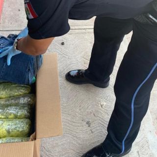 Aseguran droga en paquetería de Puerto Vallarta