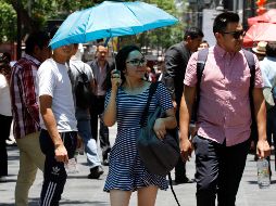 Las mujeres son especialmente diagnosticadas con este padecimiento, en México afecta al 17 % de las mujeres; sin embargo, la cifra puede ser mayor ya que esta enfermedad es asintomática y suele descubrirse tras de sufrir alguna fractura. NTX/ ARCHIVO