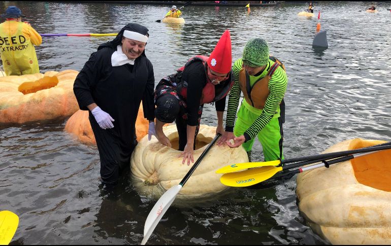 Los concursantes, muchos de ellos disfrazados, remaron frenéticamente sobre las calabazas talladas y convertidas en canoas, algunas de más de 450 kilos. EFE/T. Cidoncha