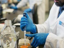 Los expertos señalaron que a pesar de los avances recientes en tecnologías de edición del genoma, la mayoría de las aproximadamente 75 mil variantes humanas que se conocen, no se pueden corregir de manera eficiente. TWITTER / @broadinstitute