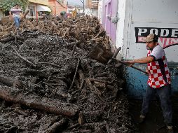 La investigación comenzó a partir del desastre ocurrido en junio en San Gabriel, del cual advertían que la causa principal fue la tala ilegal, principalmente, para la siembra de aguacate. EFE/ARCHIVO