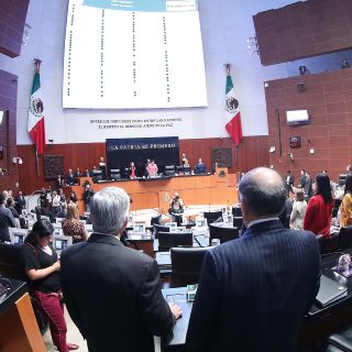 Senado avala en lo general etiquetado frontal en alimentos y bebidas