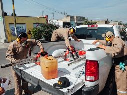Un grupo de trabajadores se prepara para eliminar mosquitos transmisores del dengue. EL INFORMADOR/G. Gallo