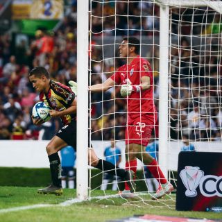 Triste adiós de Leones Negros