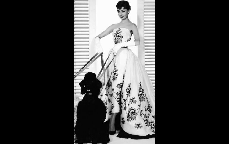 Audrey Hepburn, querida actriz.