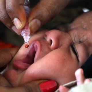 Otro virus de la polio se erradicó en el mundo: OMS
