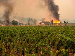El incendio Kincade en el condado de Sonoma comenzó el miércoles de noche y rápidamente se convirtió en un auténtico infierno. AFP/J. Edelson