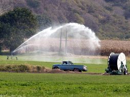 El Senado también echó abajo el nuevo impuesto de uso de agua en la agricultura. EL INFORMADOR/Archivo