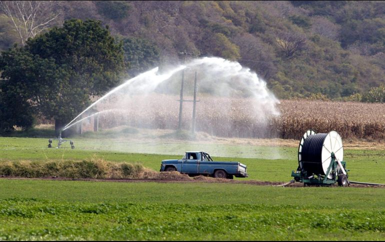 El Senado también echó abajo el nuevo impuesto de uso de agua en la agricultura. EL INFORMADOR/Archivo