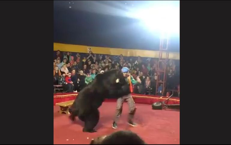 Citados por el sitio de noticias gazeta.ru, varios testigos dijeron que el oso se acercó al público antes de ser sometido con descargas eléctricas. TWITTER