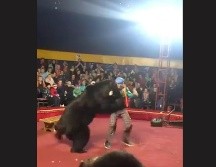 Citados por el sitio de noticias gazeta.ru, varios testigos dijeron que el oso se acercó al público antes de ser sometido con descargas eléctricas. TWITTER