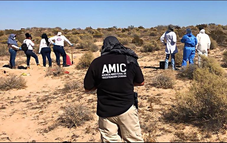 Personal de la Fiscalía realiza el traslado al área pericial, a fin de iniciar los estudios de criminalística y genética, que permitan conocer la causa de muerte, así como el muestreo de ADN que posibilite la identificación. TWITTER / @corneliomontano