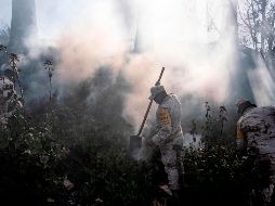 Se cuenta con un registro de 60 viviendas destruidas en Tijuana, 61 en Playas de Rosarito y se vio afectado un rancho, 90 en Tecate y 25 en Ensenada. AFP/G. Arias