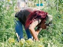 El Ayuntamiento de Tlajomulco busca abrir siete huertos más. EL INFORMADOR / R. Rivas